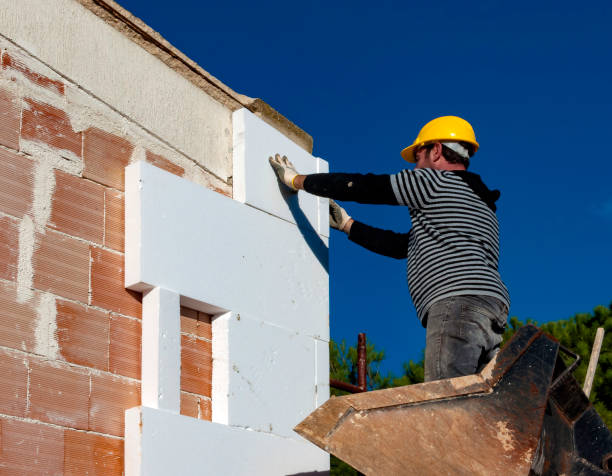Best Professional Insulation Contractor  in Lake Lure, NC