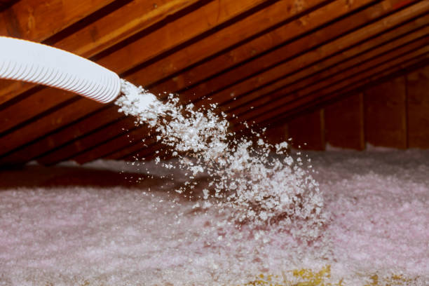Best Local Insulation Services  in Lake Lure, NC