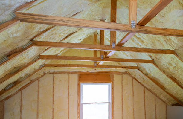 Best Insulation for New Construction  in Lake Lure, NC