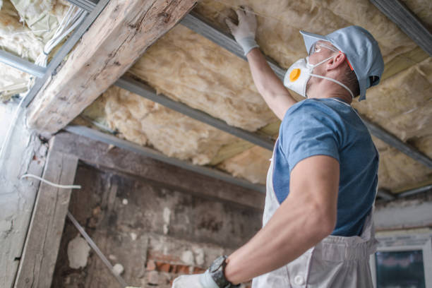 Best Soundproof Insulation Installation  in Lake Lure, NC