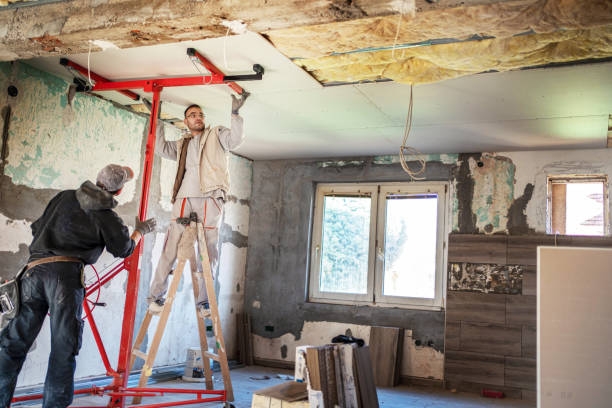 Best Insulation Replacement Services  in Lake Lure, NC