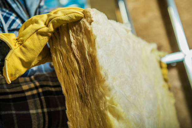 Best Energy-efficient Insulation  in Lake Lure, NC