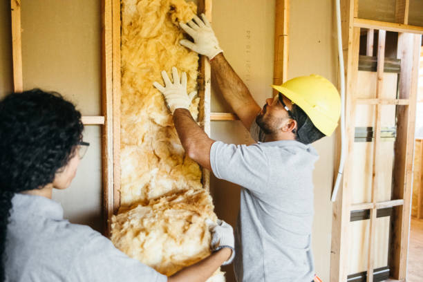 Best Fiberglass Insulation  in Lake Lure, NC