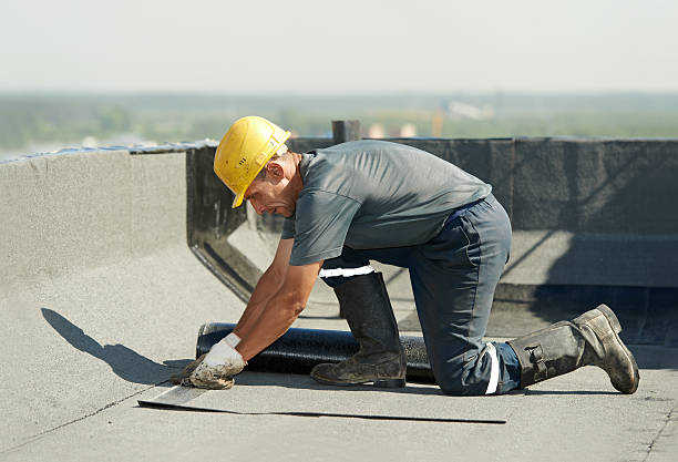 Best Best Insulation Companies  in Lake Lure, NC